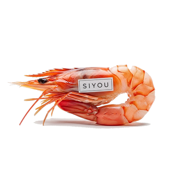 Shrimp